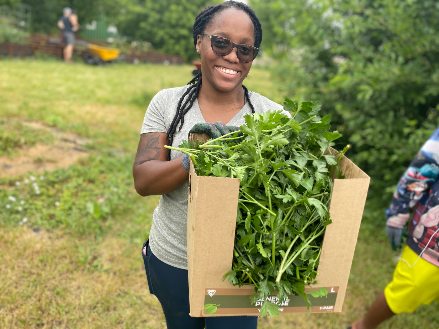 Volunteer carrying a crate of fresh cut greens harvested from the garden